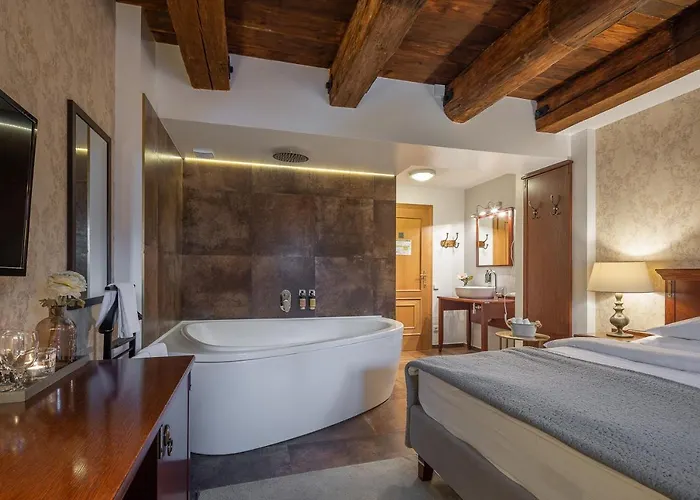 Pytloun Chateau Ctenice 4*