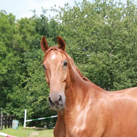 Pytloun Chateau Ctenice 4*