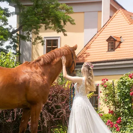 Pytloun Chateau Ctenice ホテル 4*