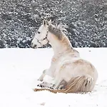 Pytloun Chateau Ctenice プラハ