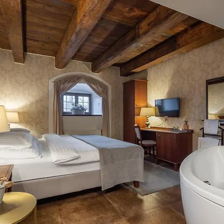 Pytloun Chateau Hotel Ctenice 4*